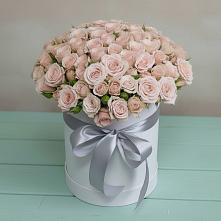 Цветочная композиция из Розы в шляпной коробке #REPLACE_PRED# Кагальнике