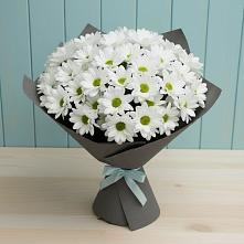 Букет цветов из:  Хризантемы #REPLACE_PRED# Кагальнике
