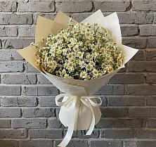 Букет цветов из:  Ромашки #REPLACE_PRED# Кагальнике