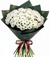 Букет цветов из:  Хризантемы #REPLACE_PRED# Кагальнике