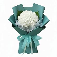 Букет цветов из:  Гортензия в Кагальнике